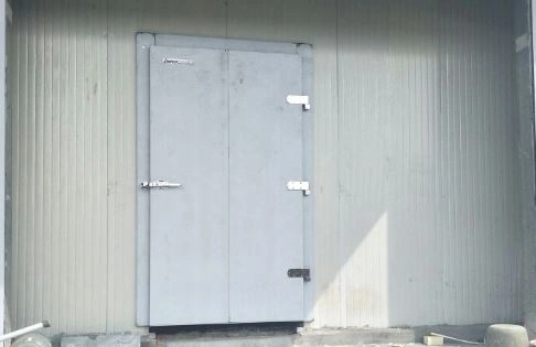 nandikoti_ Hinged Type Door